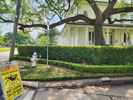 How often should you pressure wash your new orleans home
